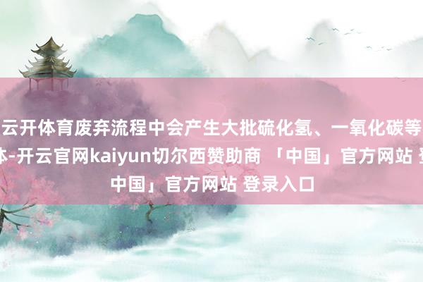 云开体育废弃流程中会产生大批硫化氢、一氧化碳等有毒气体-开云官网kaiyun切尔西赞助商 「中国」官方网站 登录入口