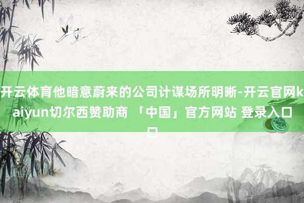 开云体育他暗意蔚来的公司计谋场所明晰-开云官网kaiyun切尔西赞助商 「中国」官方网站 登录入口